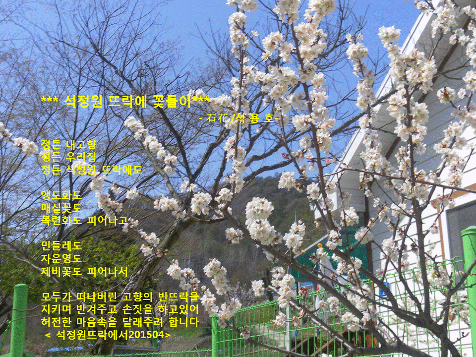 민들레뜨락 이미지