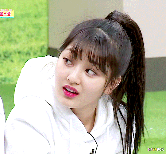 트와이스 묶지효vs푼지효 | 인스티즈