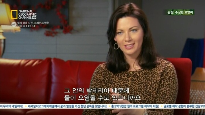 고양이가 자꾸 변기물 마시는이유.. | 인스티즈