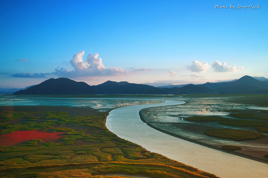 초아랑 순천만 보러가고 싶다 | 인스티즈