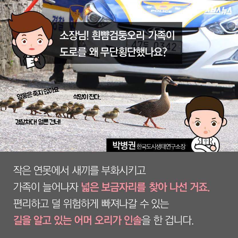당신은 당신의 이웃을 사랑하십니까? | 인스티즈