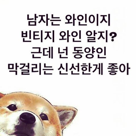 인스타그램의 계정ㅋㅋㅋㅋㅋ | 인스티즈