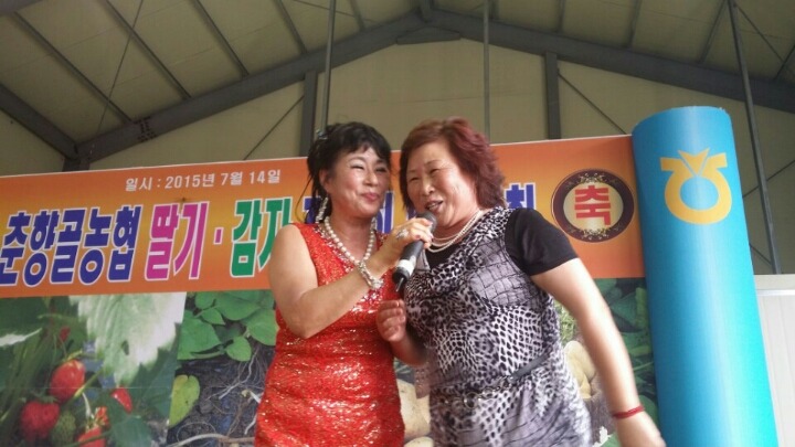 순정감자 이미지