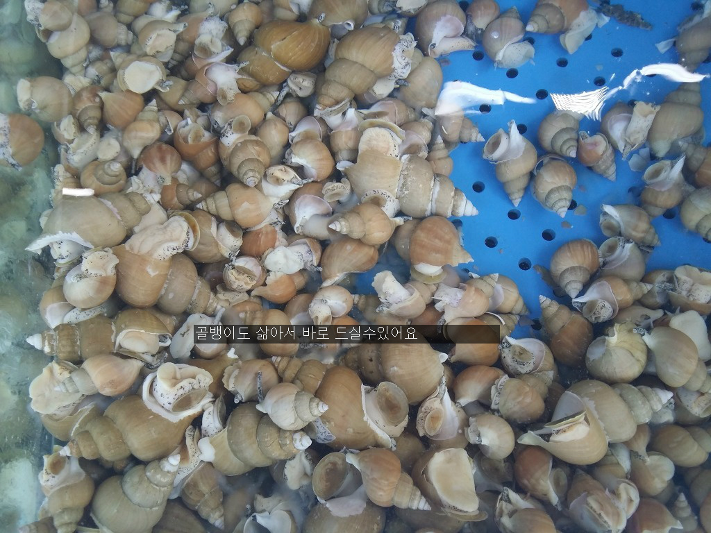 모퉁이회포차 이미지