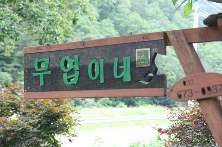 Daum카페