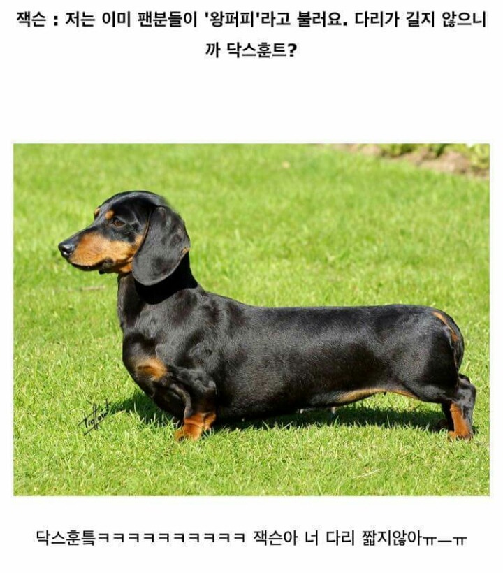 흔한_아이돌의_단체_난독증_txt | 인스티즈