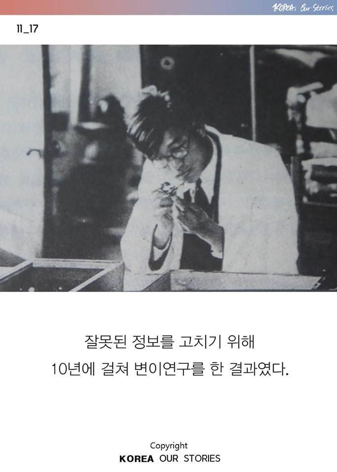 한국에서 나비가 사라졌다 | 인스티즈