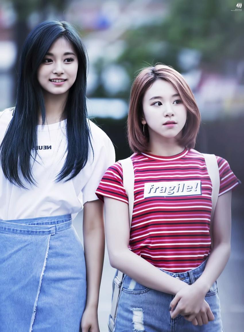 손채영.gif+jyp (데이터주의) | 인스티즈