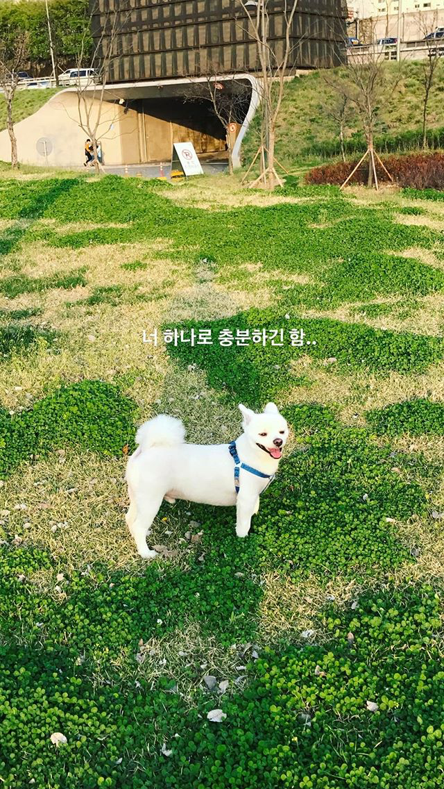 크러쉬 인스타 | 인스티즈