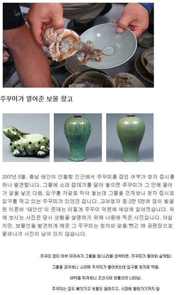 아낌없이 주는 쭈꾸미.JPG | 인스티즈
