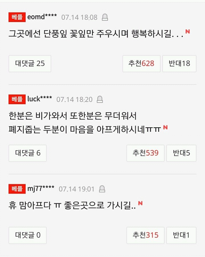 폭염 속 폐지 줍던 70대 할머니 도로서 쓰러져 숨져(종합) | 인스티즈