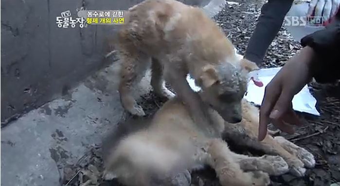 은근히 못 보는 사람 많은 주제 투탑.jpg | 인스티즈