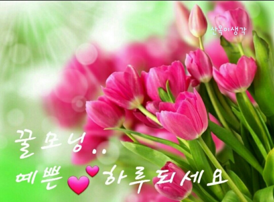 행복가득 이미지