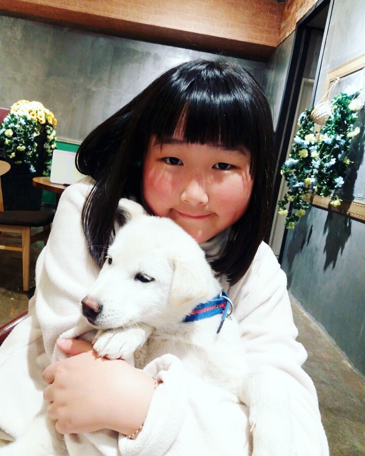 개소주가 되어 주인품으로 돌아온 매실이. 매실이는 이쁘고 영리하지만 겁도많은 소중한 가족이었습니다 | 인스티즈