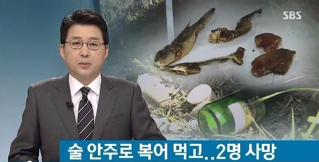 복어 훔고 사망 jpg | 인스티즈
