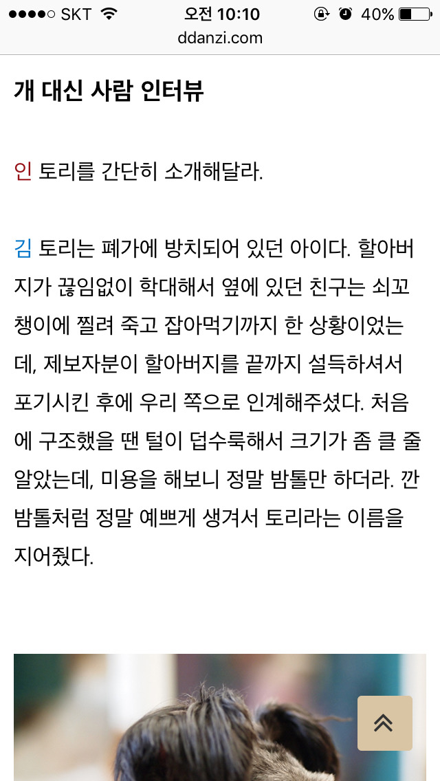 이너뷰] 문재인 정부의 막강 권력 : 퍼스트 독 토리 긴급 인터뷰 | 인스티즈