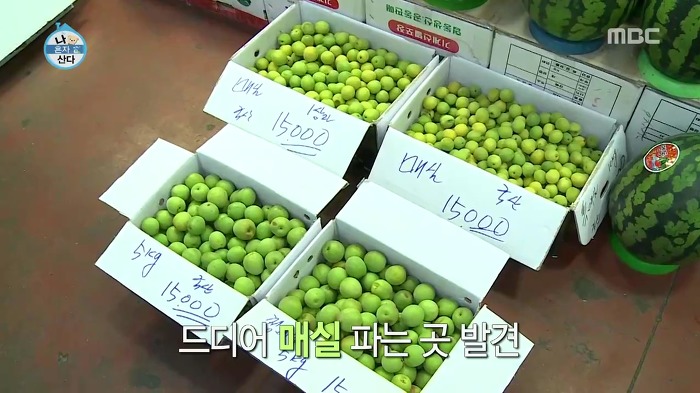 [나혼자산다] 매실 사러 농수산물시장에 간 이국주.jpg | 인스티즈