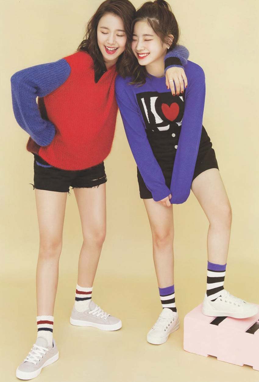 쎄시 이미지
