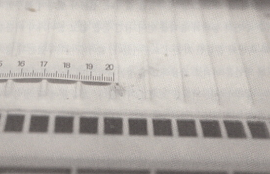 2001년 4세 여아 토막 살인사건의 전말 | 인스티즈