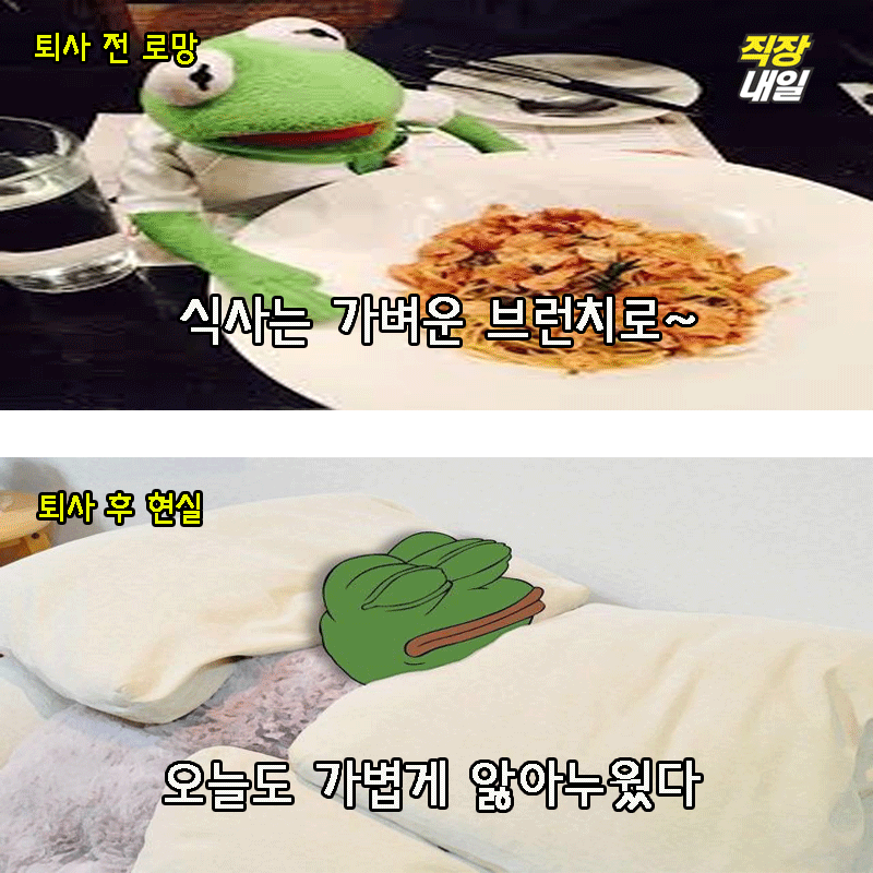 직장인 개구리가 퇴사를 해보았다(팩트폭행 주의) | 인스티즈