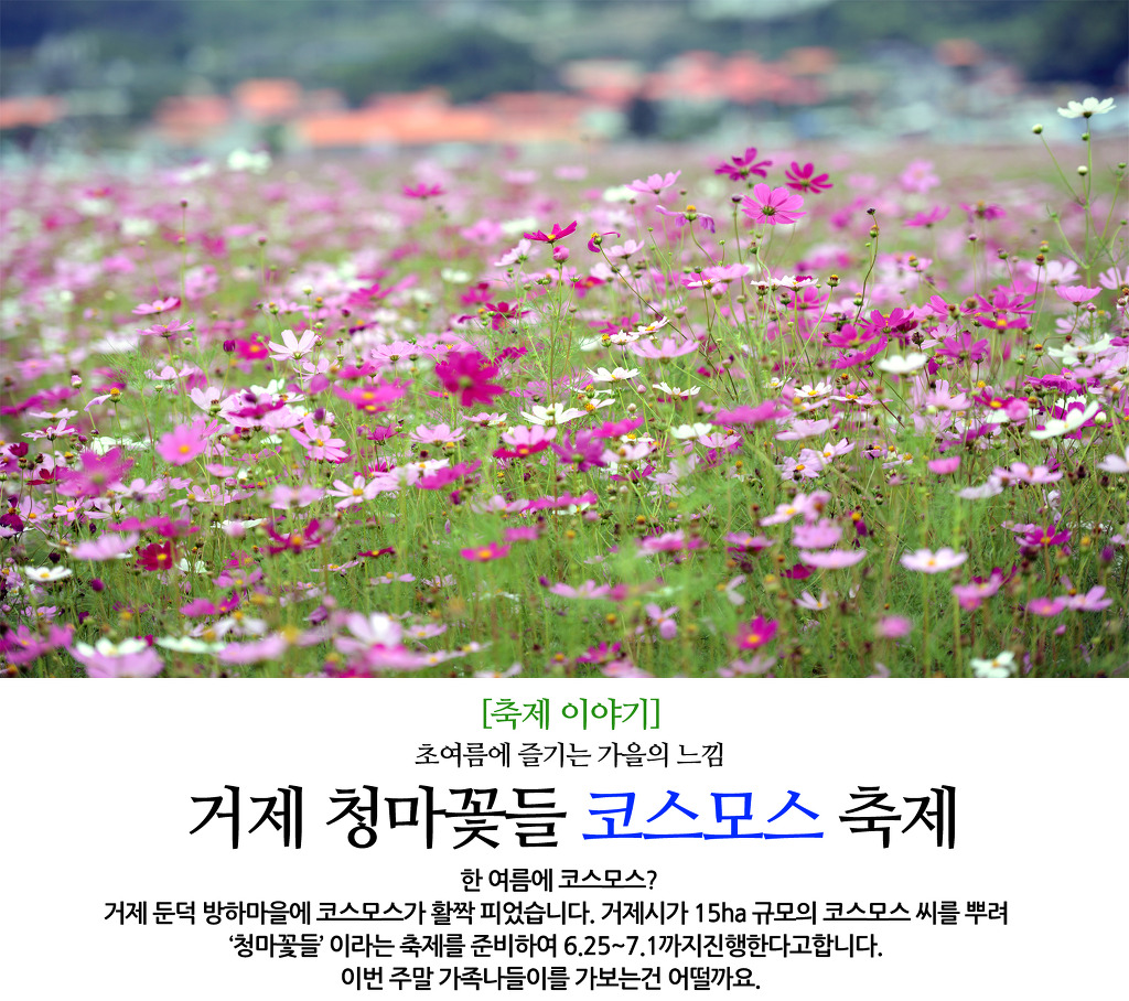 호선생 이미지