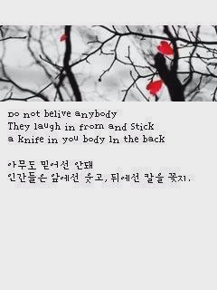 다소 이미지