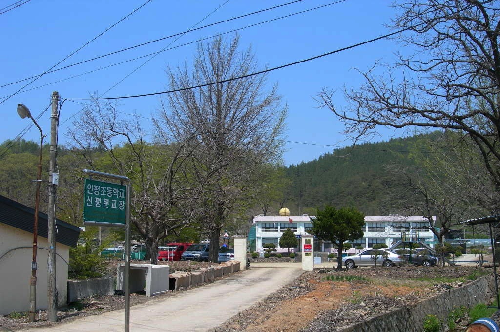 신평초등학교 이미지
