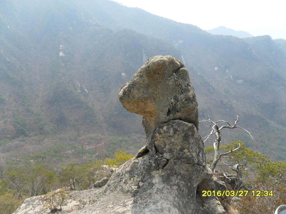 곰바위주 이미지