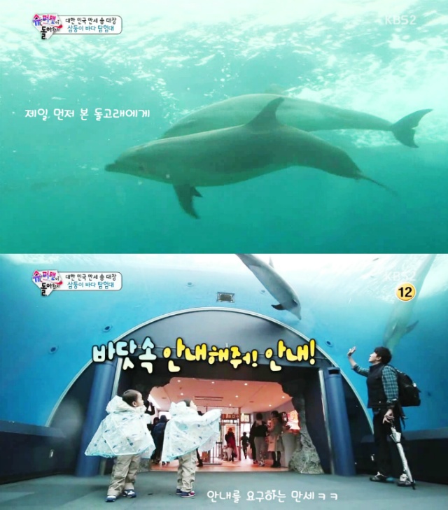 [슈퍼맨이돌아왔다] 아이들의 순수함이 보였던 삼둥이 수족관 에피♡.jpg | 인스티즈