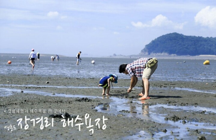 대부도 이미지