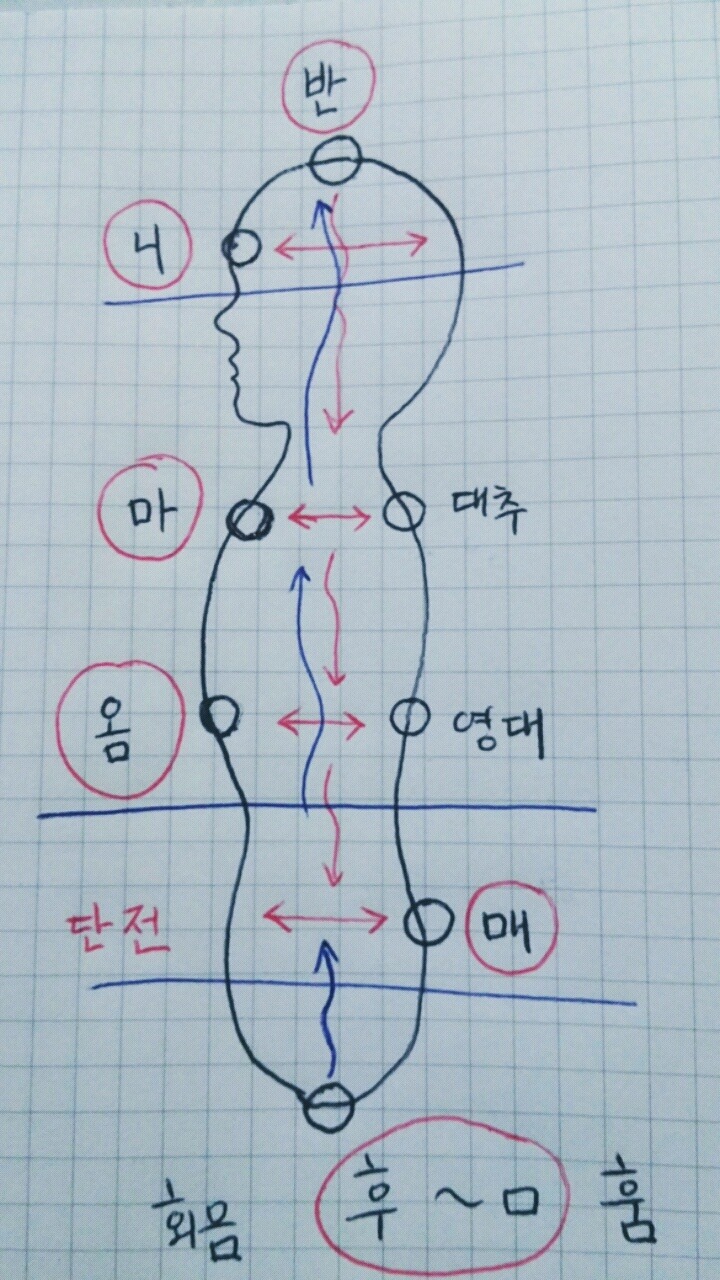 마니 이미지