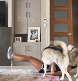 주인님 같이 놀아여.gif | 인스티즈