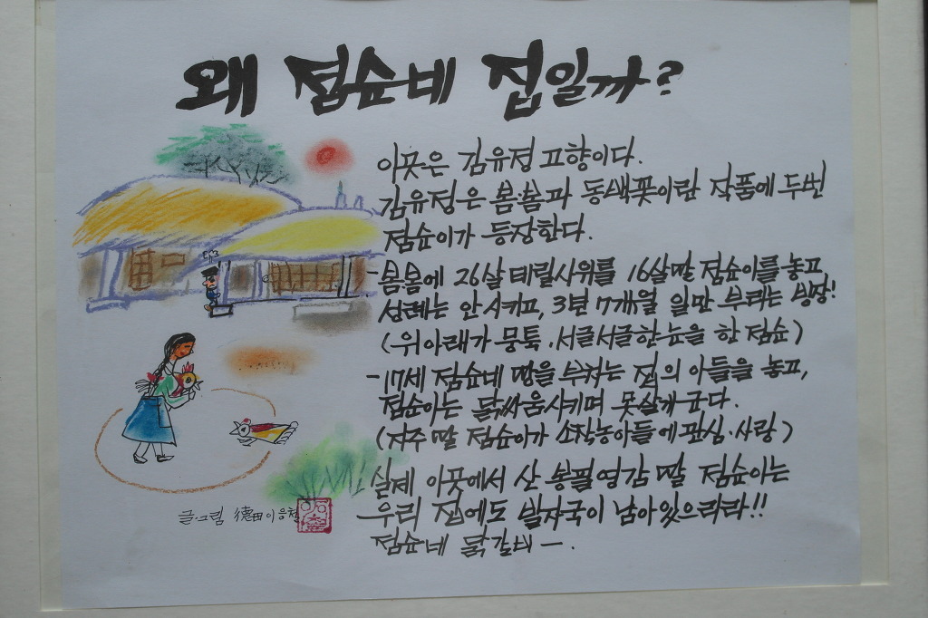 점순이 이미지