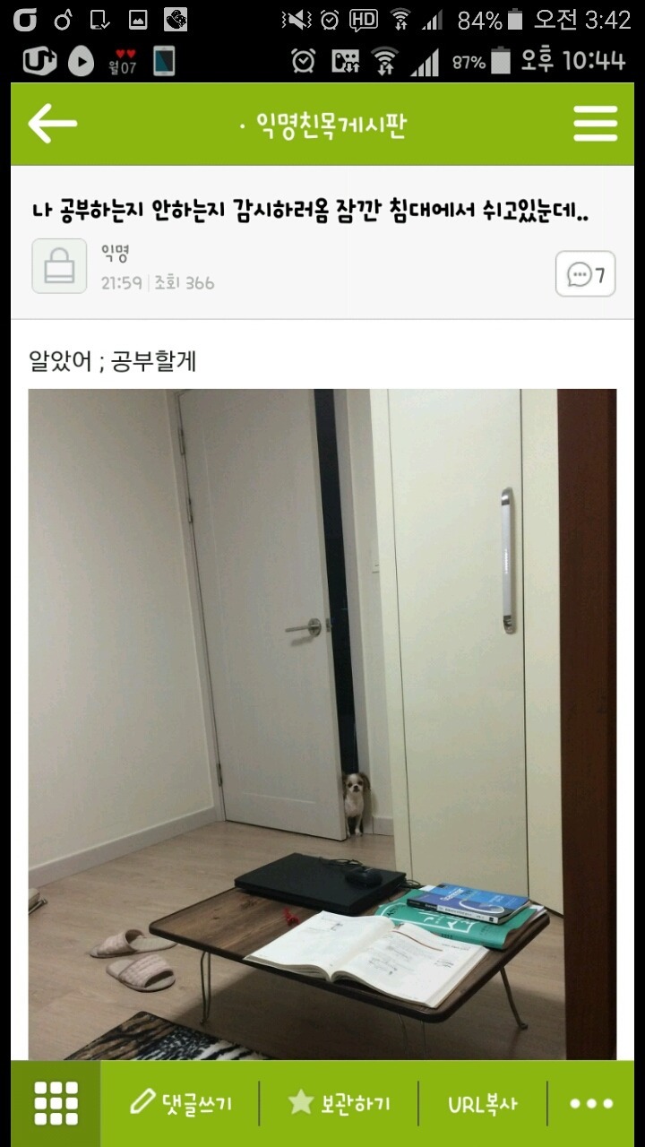 평화로운 익친이네 개들.jpg | 인스티즈