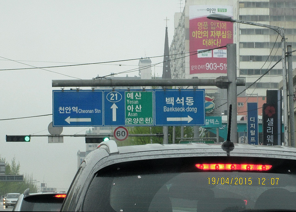 소망꽃 이미지