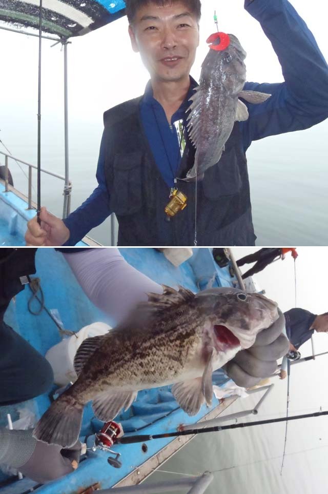 본전낚시 이미지