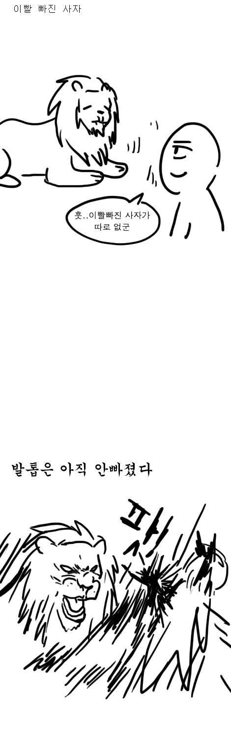 이빨 빠진 사자 | 인스티즈