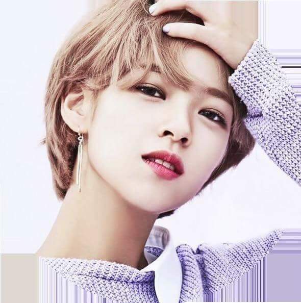 정연이 사나 | 인스티즈