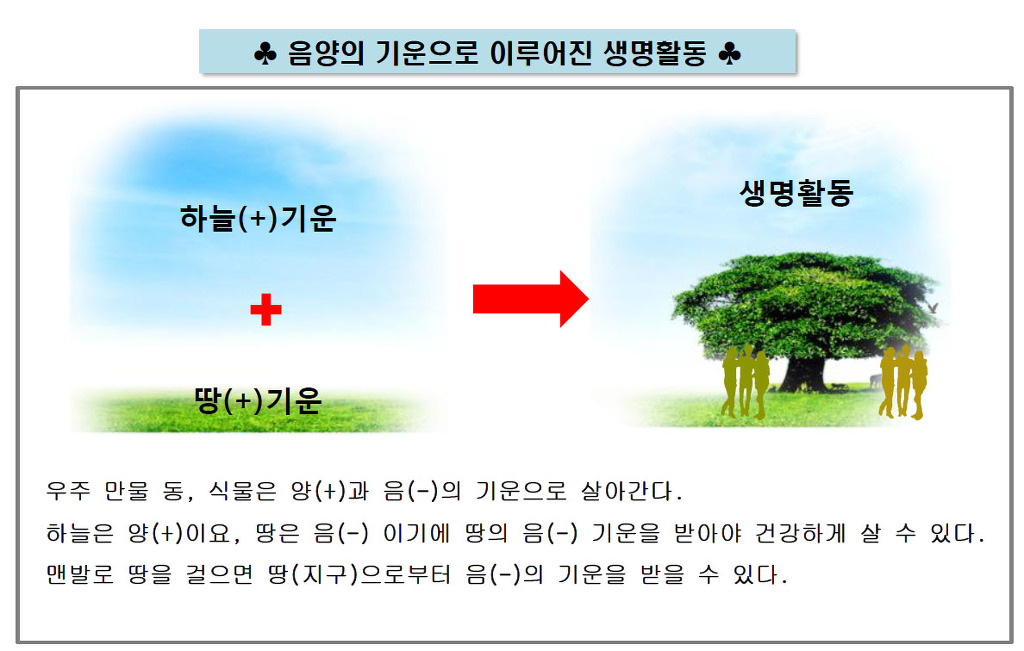 맨땅 이미지