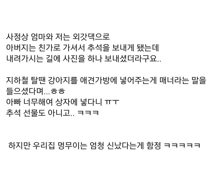 [유머] 추석쇠러 가던 강아지 | 인스티즈