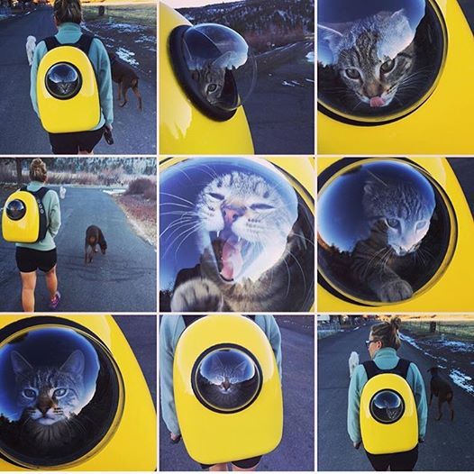 해외에서 유행타기 시작한 우주선 가방 | 인스티즈