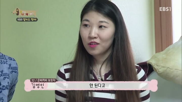 공격적인 반려견이 되는 이유 2부.jp | 인스티즈