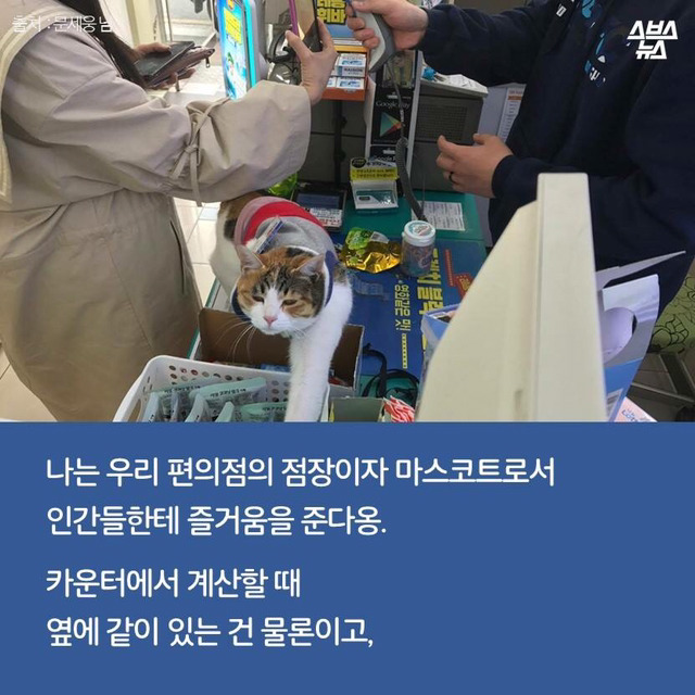 편순이 처음 보냥? | 인스티즈