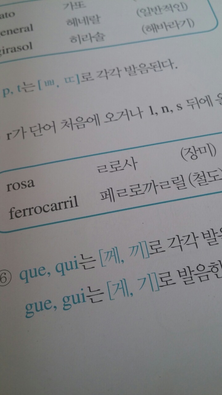 스페인어 배우는 사람들이 가장 처음 만나는 난관 | 인스티즈