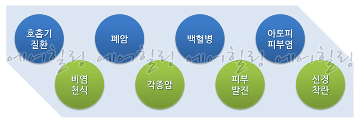 메트로에어 이미지
