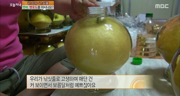 신기한 병배.jpg | 인스티즈