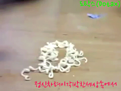 썸녀랑 소개팅하는데 옷 좀 봐주세요!.jpg | 인스티즈