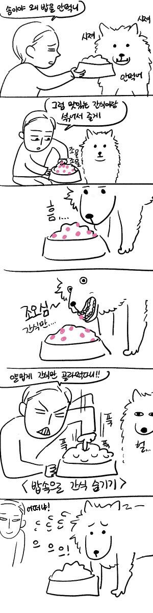 강아지 키우는 사람들 공감 | 인스티즈