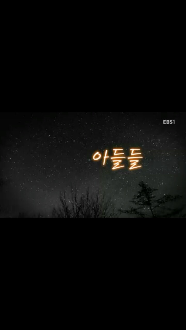 [[세월호]] [[[눈물주의]] ] 엄마, 내 친구들은 참 멋진 녀석들이에요 | 인스티즈