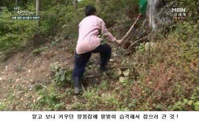 나는 자연인이다 레전드 | 인스티즈